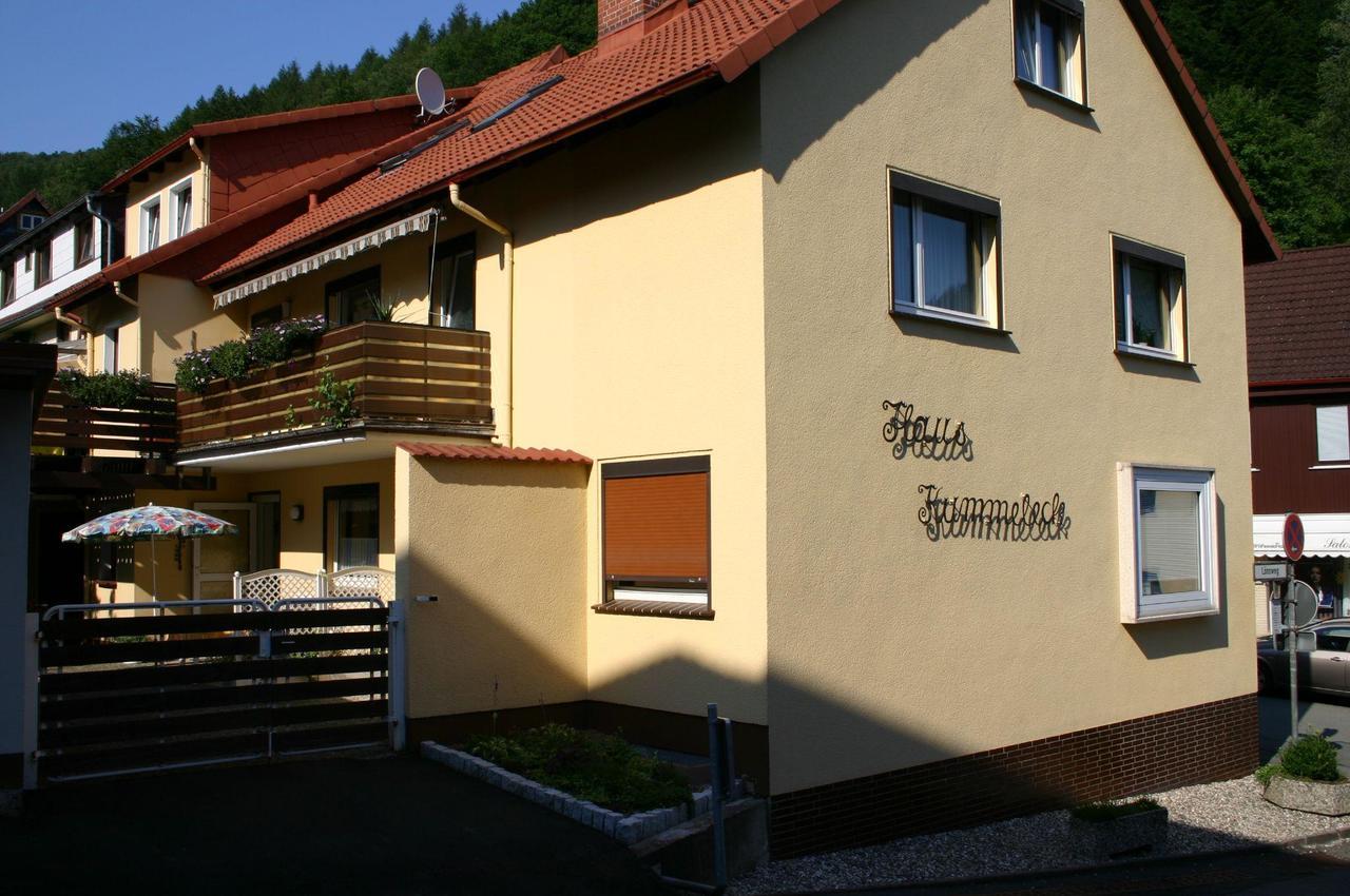 Haus-Kummeleck-Wohnung-3 Bad Lauterberg Exterior foto
